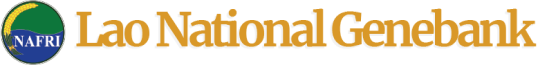 LNG Logo